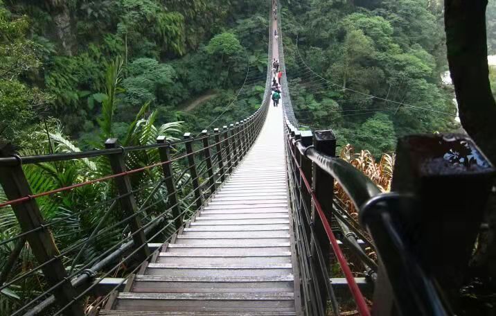 木質吊橋